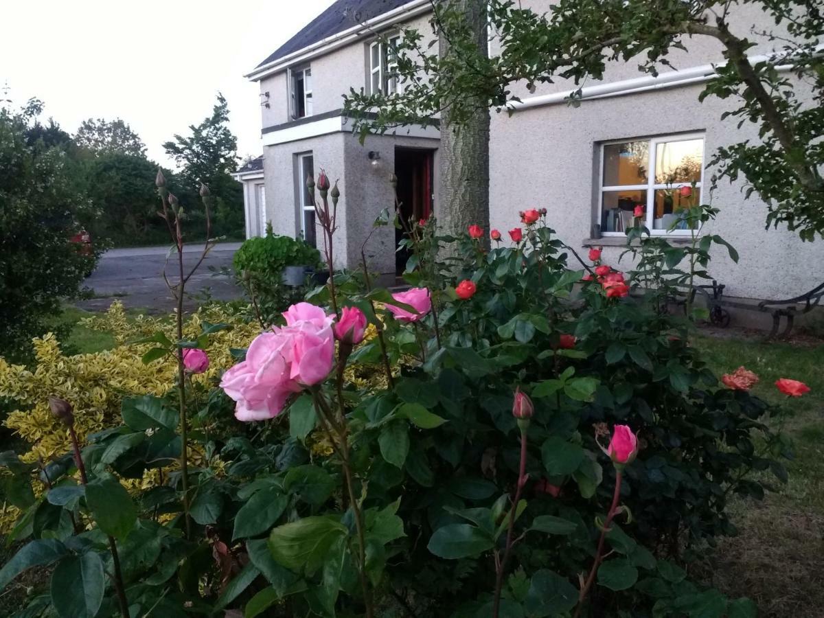Bed and Breakfast Lisieux House On Lough Neagh Aghalee Zewnętrze zdjęcie
